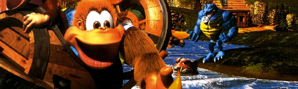 Banner Donkey Kong Country 3