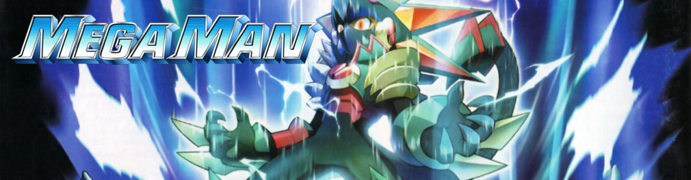 Banner Mega Man Battle Network 6 Cybeast Gregar