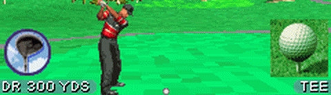 Banner Tiger Woods PGA Tour Golf