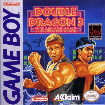 Boxshot Double Dragon 3: The Arcade Game