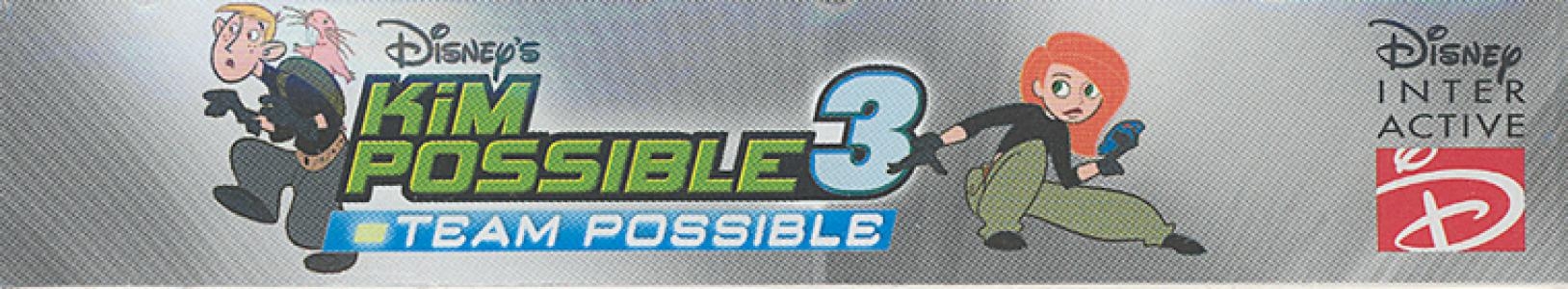 Banner Kim Possible 3 Team Possible