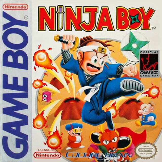 Boxshot Ninja Boy