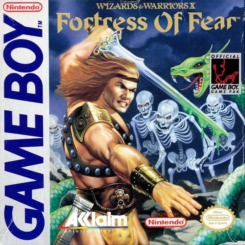 Boxshot Wizards & Warriors X: The Fortress of Fear