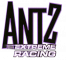 Afbeeldingen voor  Antz Racing