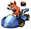 Afbeelding voor  Crash Nitro Kart