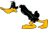 Bilder für Daffy Duck