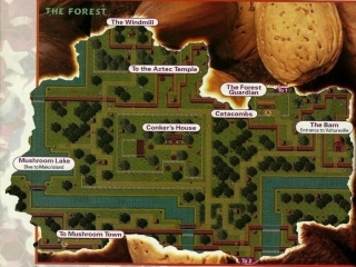 Een deel van de kaart van Willow Woods, één van de acht werelden.