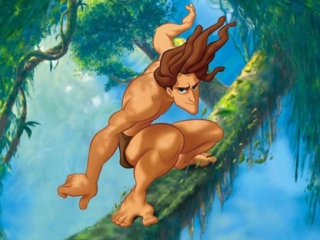 Speel met Tarzan in een gloednieuw avontuur vol gevaarlijke dieren, jagers en veel meer...