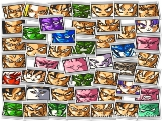 Er zijn in totaal 48 soorten karakters waaronder, Goku, Gohan, Vegeta, Frieza, Cell en Majin Buu.