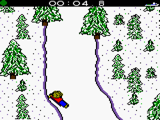 Extreme Sports with the Berenstain Bears: Screenshot