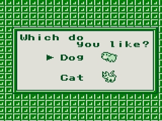 Je kan kiezen of je als maatje een hond of een kat wilt.