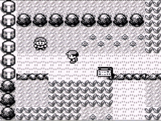 Partez à l’aventure et attrapez tous les Pokémon !